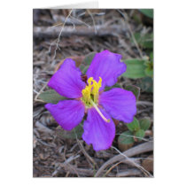 Flower Sri Lanka Card