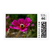 Flower Stamp