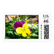 Flower Stamp