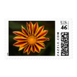 Flower Stamp