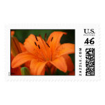 Flower Stamp