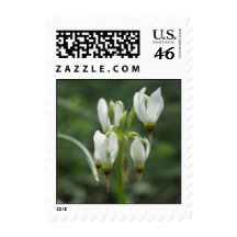 flower stamps