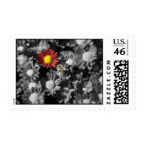 Flower Stamps stamps