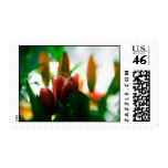 Flower Stamps