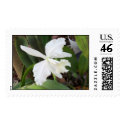 Flower Stamps