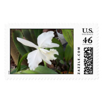 Flower Stamps by JBertrand Flower Stamps