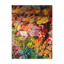 Flower Stand postcards by designcreatology Flower Stand postcards