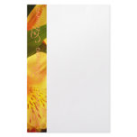 FLOWER STATIONARY STATIONERY DESIGN