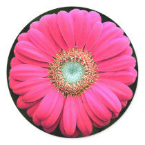 Flower stickers