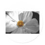Flower Stickers