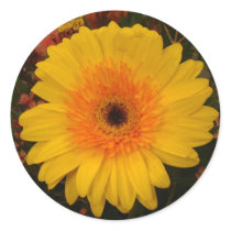 flower sticker by bkang22 flower sticker
