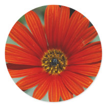 Flower stickers by be_free Flower stickers