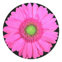 Flower stickers