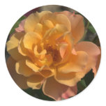 Flower stickers