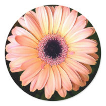 Flower stickers