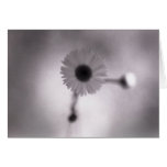 Flower Study 2 Greeting Card