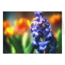 Flower Study 3 cards