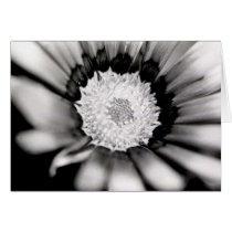 Flower Study cards