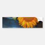Flower - Sunflower - Little blue sunshine Bumper Sticker