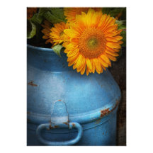 Flower - Sunflower - Little blue sunshine Announcements