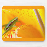 flower surfer mousepad