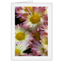 Flower Surfing cards by lioneyes Flower Surfing cards