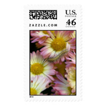 Flower Surfing postage by lioneyes Flower Surfing postage