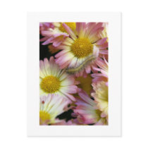 Flower Surfing postcards by lioneyes Flower Surfing postcards