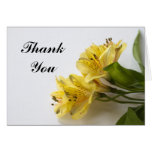 Flower Than You Note Card