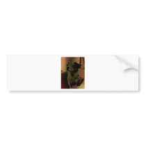 Flower the Chihuahua Bumper Stickers