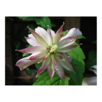 Flower Three posters by digitography Flower Three posters