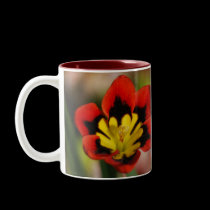 Flower to be cherished mugs