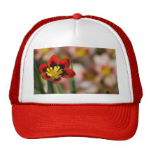 Flower to be cherished mesh hats