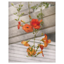 Flower - Trumpet melodies Custom Flyer