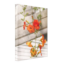Flower - Trumpet melodies Stretched Canvas Print