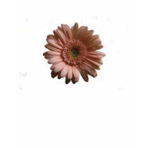 Flower t-shirts