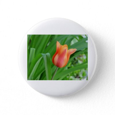 Tulip Buttons