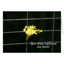 Flower Valentine cards