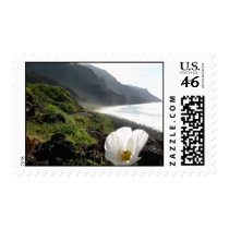 Flower view of Kalalau Kauai postage