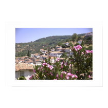 Flower view posters