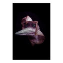 Flower with Eyes posters by draemknot Flower with Eyes posters