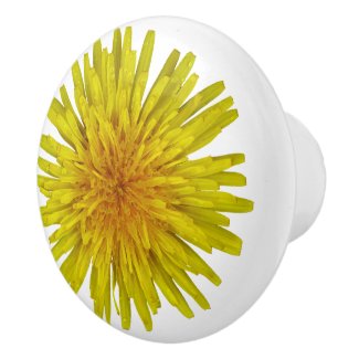 Flower Yellow Dandelion Photo