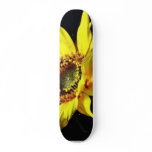 Flower Yellow Macro Photo Skateboard Decks