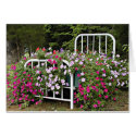 flowerbed cards