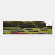 Flowerbeds at Keukenhof, Netherlands  flowers Bumper Stickers