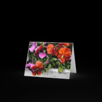 Flowerbox of Pansies cards