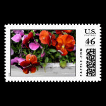 Flowerbox of Pansies postage