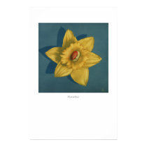 FlowerBud posters