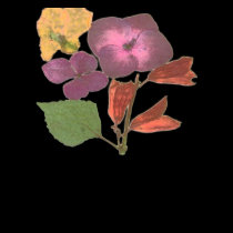 flowercomp t-shirts by trendhuntress flowercomp t-shirts