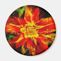FlowerCraze3 Refrigerator Magnets